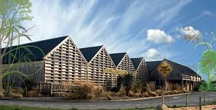 Alligator Bay