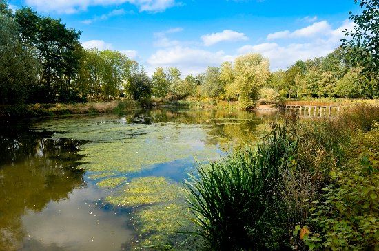 Parc de la Tuilerie