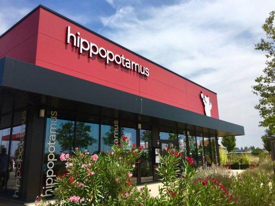 Hippopotamus Istres