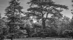 Parc des Tourelles