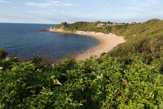Plage de Lafitenia