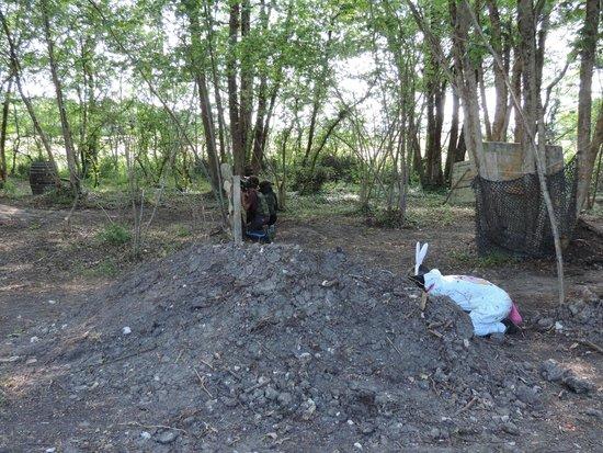Scenariland Paintball