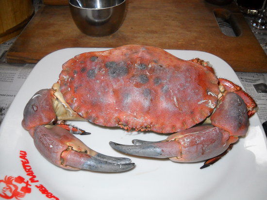 Le Crabe Marteau