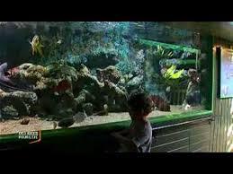 Aquarium Sealand de Noirmoutier-en-l'Île