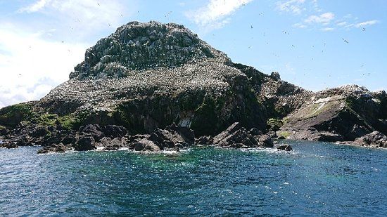 Réserve Naturelle des Sept Îles